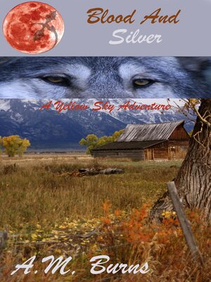 cover image of Blood and Silver
